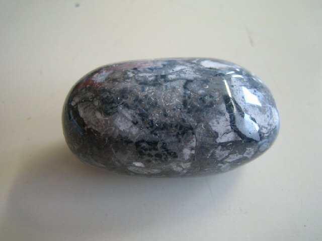 Fossiliensammler U.Lieven